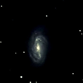 Galaxie NGC 2903