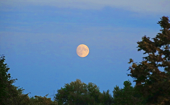 Mondaufgang in der Abenddämmerung