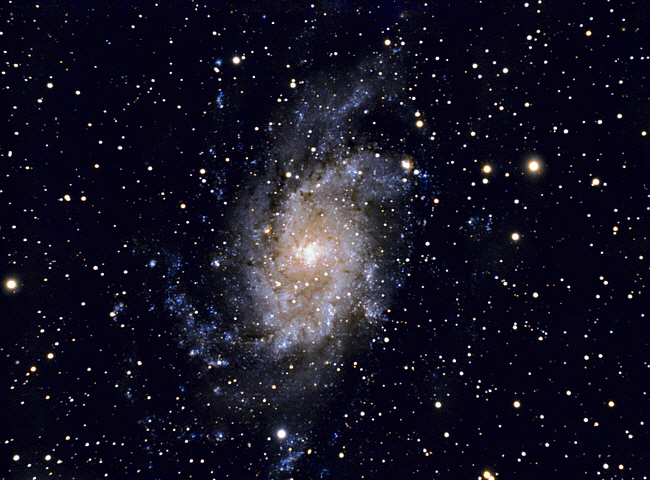 Ein Testbild mit der großen Galaxie Messier 33