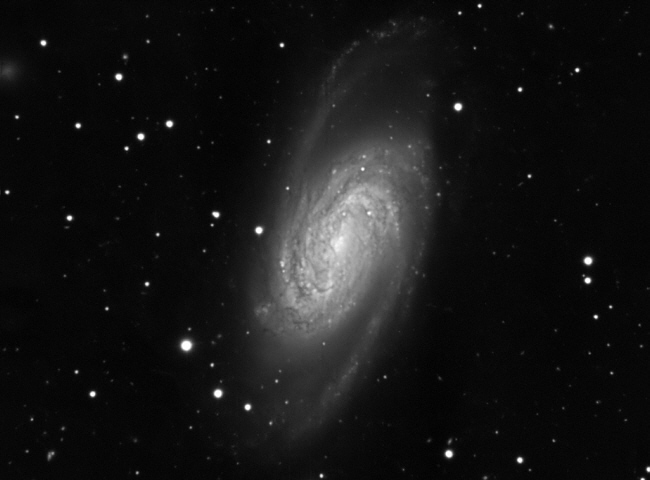 NGC 2903 – eine detailreiche Galaxie im Sternbild Löwe