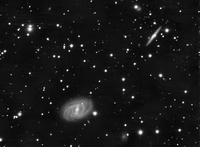 Beobachtung der Supernova SN2025aeee in der Galaxie NGC 2534